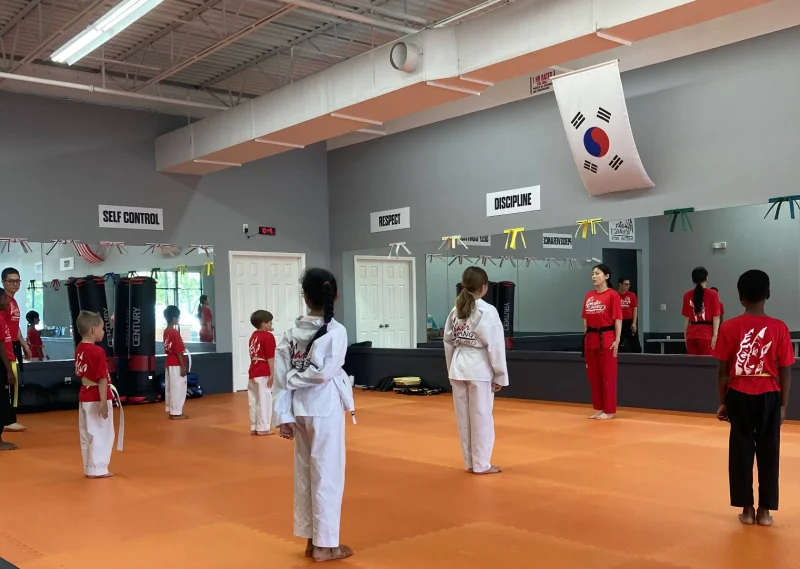 Master Chang's Martial Arts Holly Springs -  - Poster